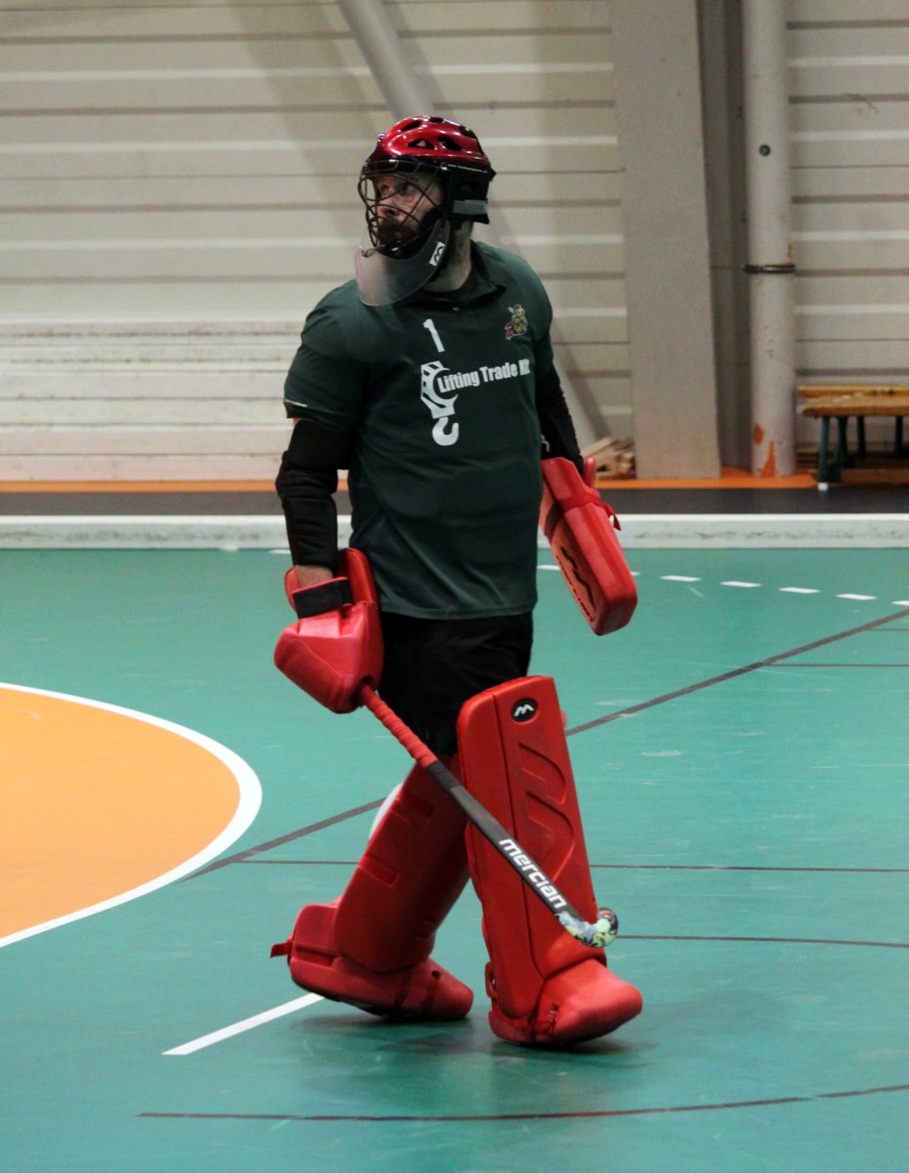 bajnok a soroks&aacute;ri hc