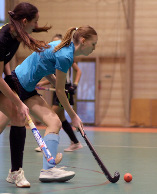 megv&eacute;dte bajnoki c&iacute;m&eacute;t az ahc