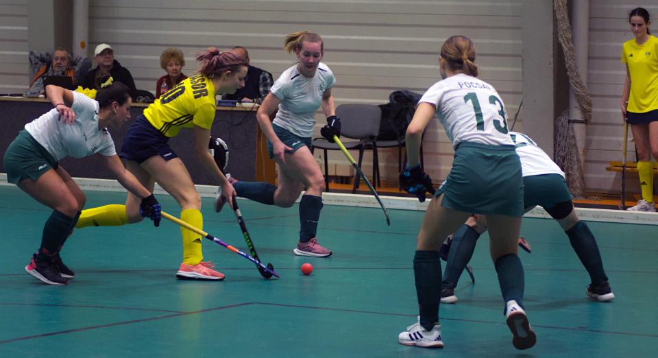 megv&eacute;dte bajnoki c&iacute;m&eacute;t az ahc