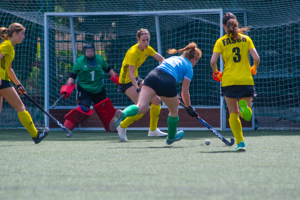 BKGDSE-FASOR HC-SZLG DSE - AHC-3 20260606-w-3.jpg